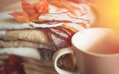 Diesel Heaters for Vans